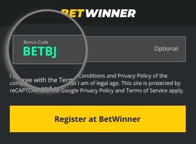 Cats, Dogs and Betwinner Promo Code